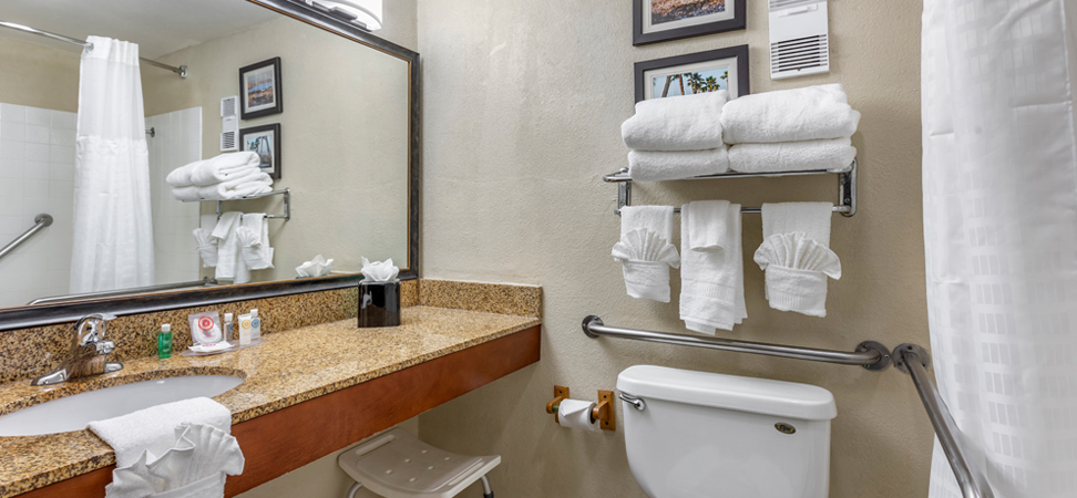 Hotel Bath Room